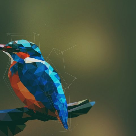 bird-abstract-low-poly-digital-art-uhdpaper.com-4K-2