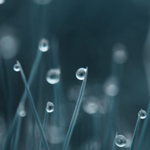 bokeh_Water_Drops_grass_3840x2160