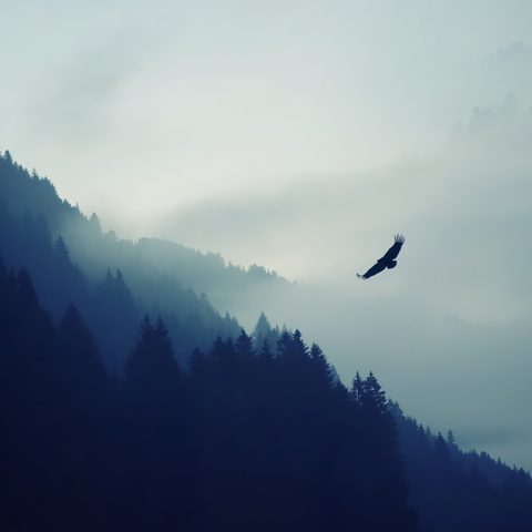 nature_mountain_eagle_fog_landscape_ultrahd_4k_wallpaper_3840x2160
